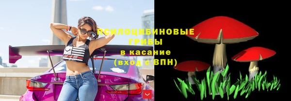 хмурый Алексеевка