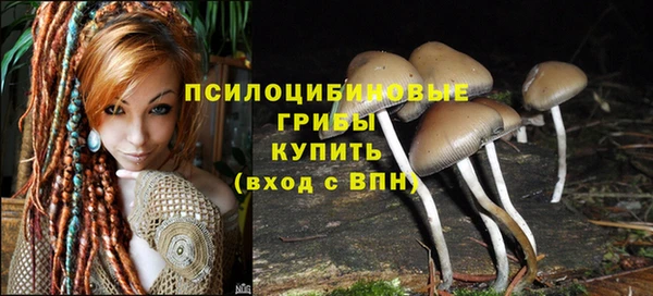 бошки Алексин