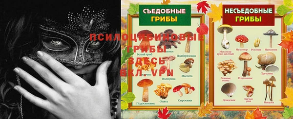 эйфоретик Алзамай