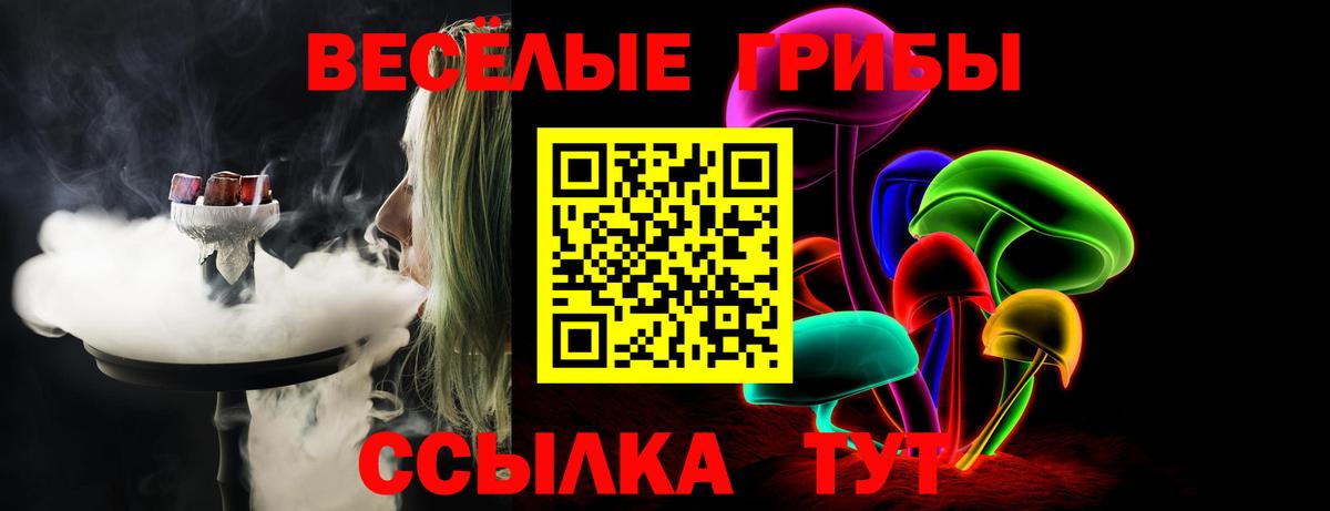 Галлюциногенные грибы Cubensis Саров